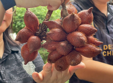 รักษาราชการแทนสหกรณ์จังหวัดบุรีรัมย์ ... พารามิเตอร์รูปภาพ 6